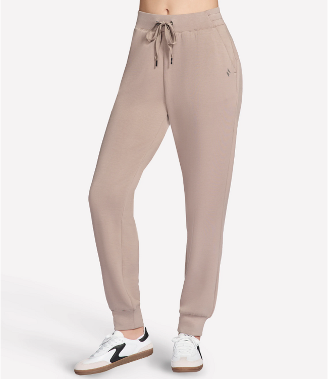 Skechers SKECHERS ELEVATE JOGGER SKECHLUXE FEMME (PT149)