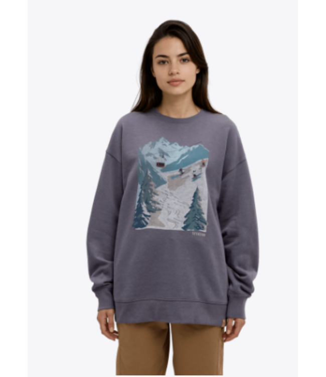 Tentree TENTREE CREW NECK OVERSIZED ALPINE (TCW6347)