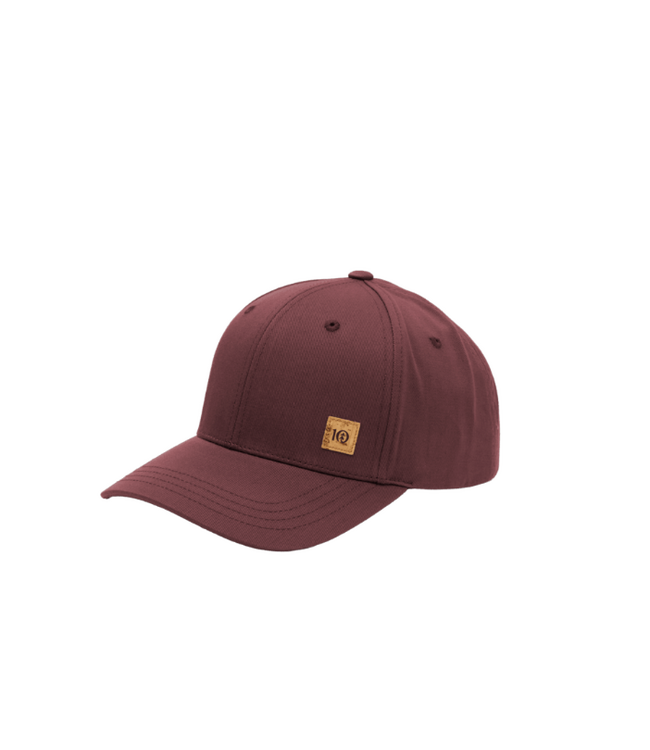Tentree TENTREE CASQUETTE CORK ICON ELEVATION (TAU3837)