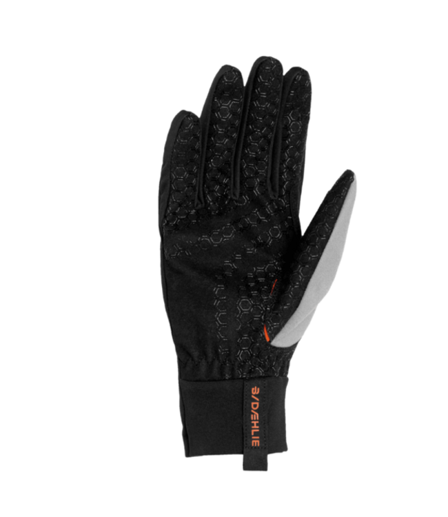 Daehlie DAEHLIE GANT RACE ELITE (334120)