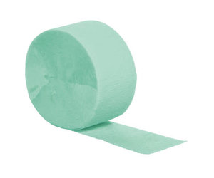 Touch of Color 81' Mint Green Crepe Paper Streamer - Party Adventure