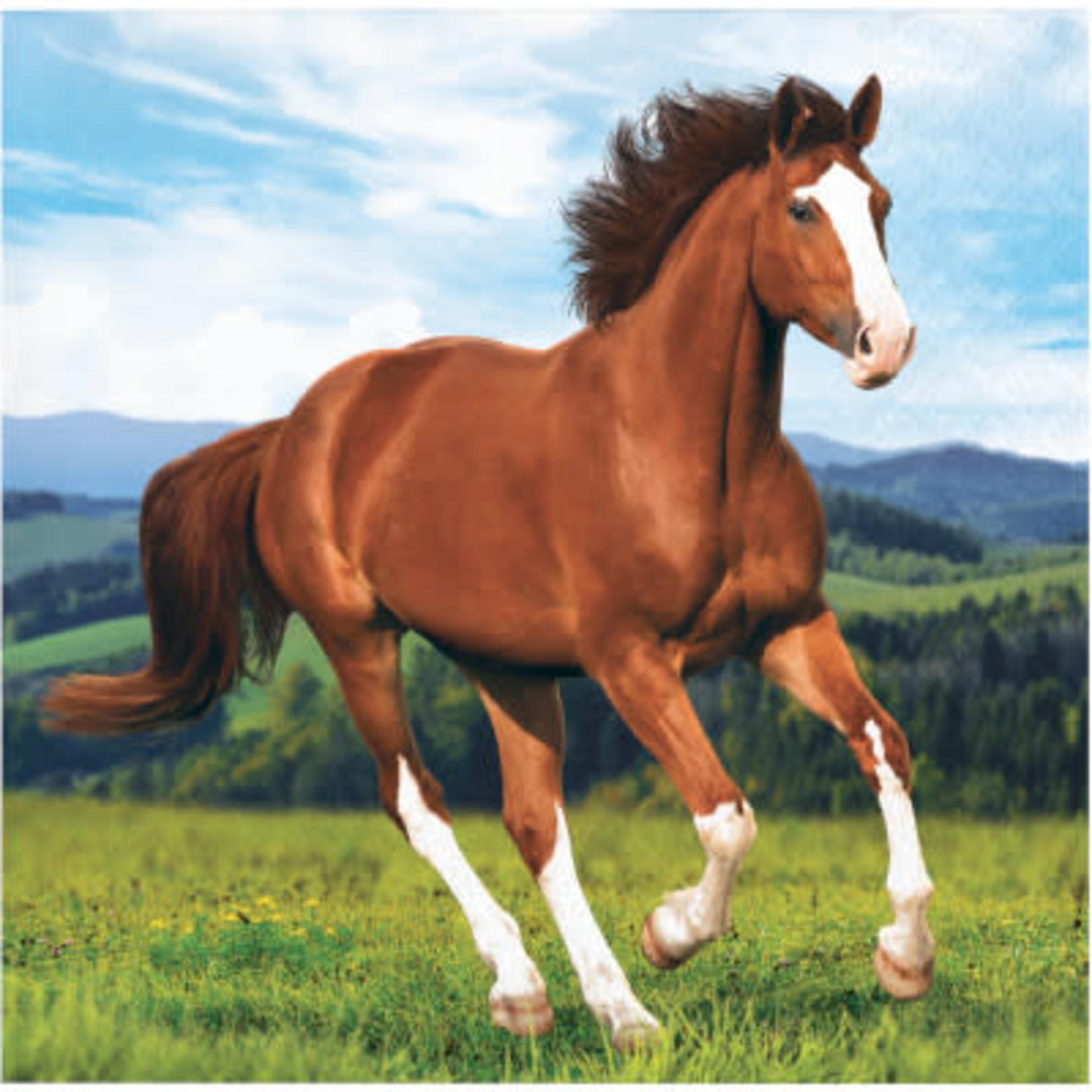 Creative Converting Horse and Pony Bev. Napkins - 16ct.
