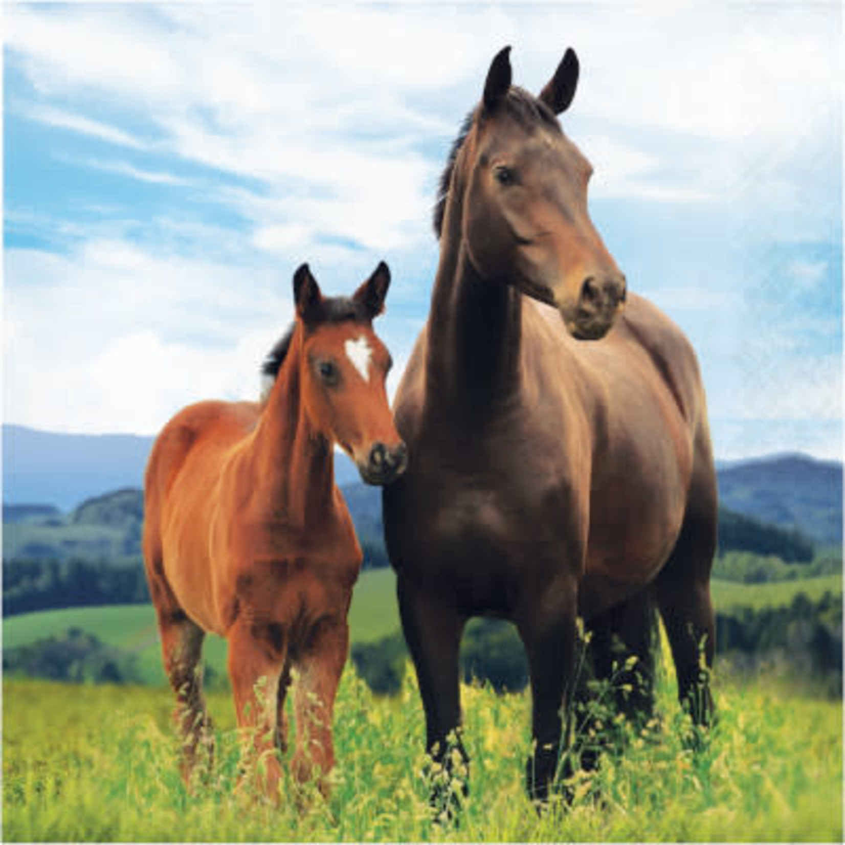 Creative Converting Horse and Pony Lun. Napkins - 16ct.