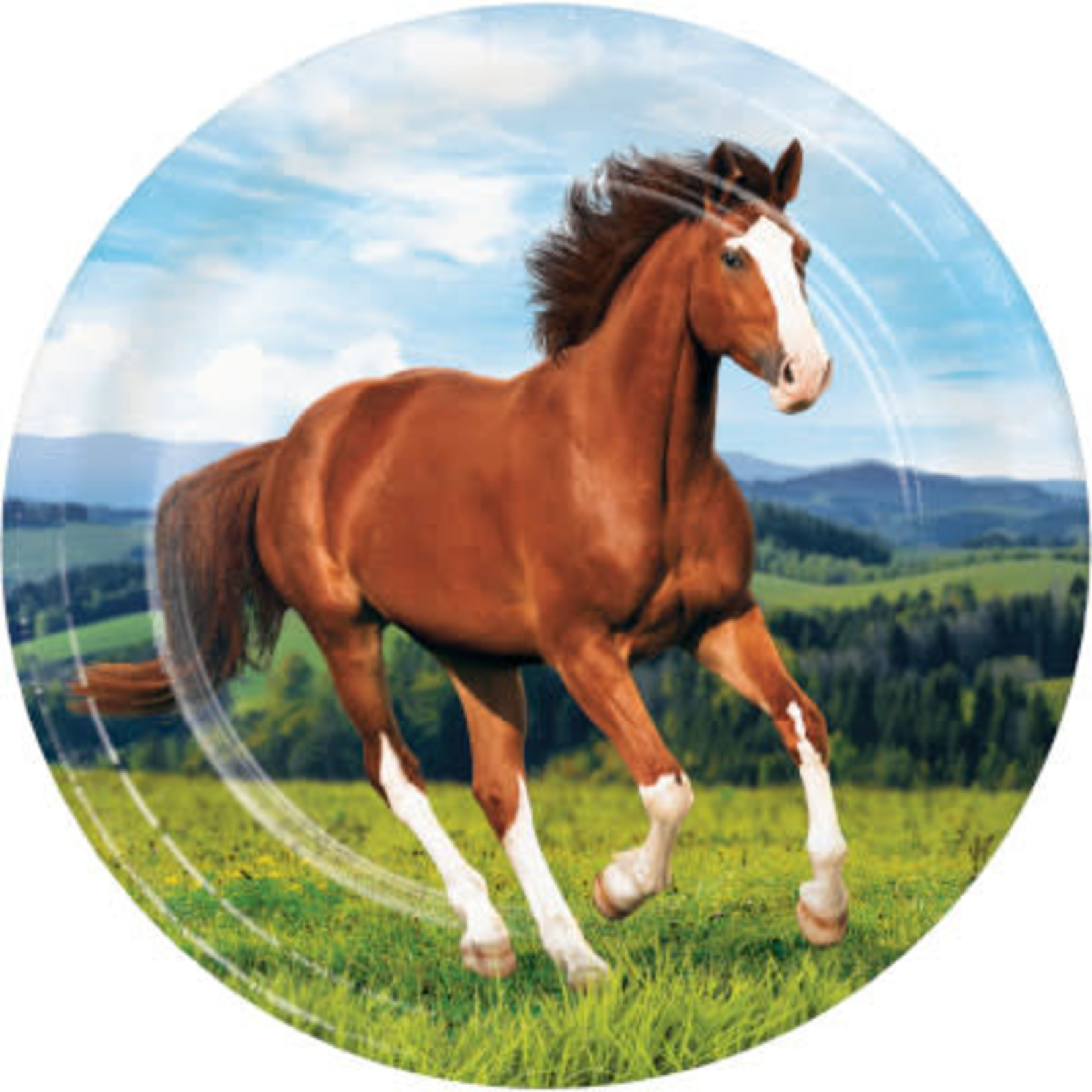 Creative Converting Horse and Pony 9" Plates - 8ct.