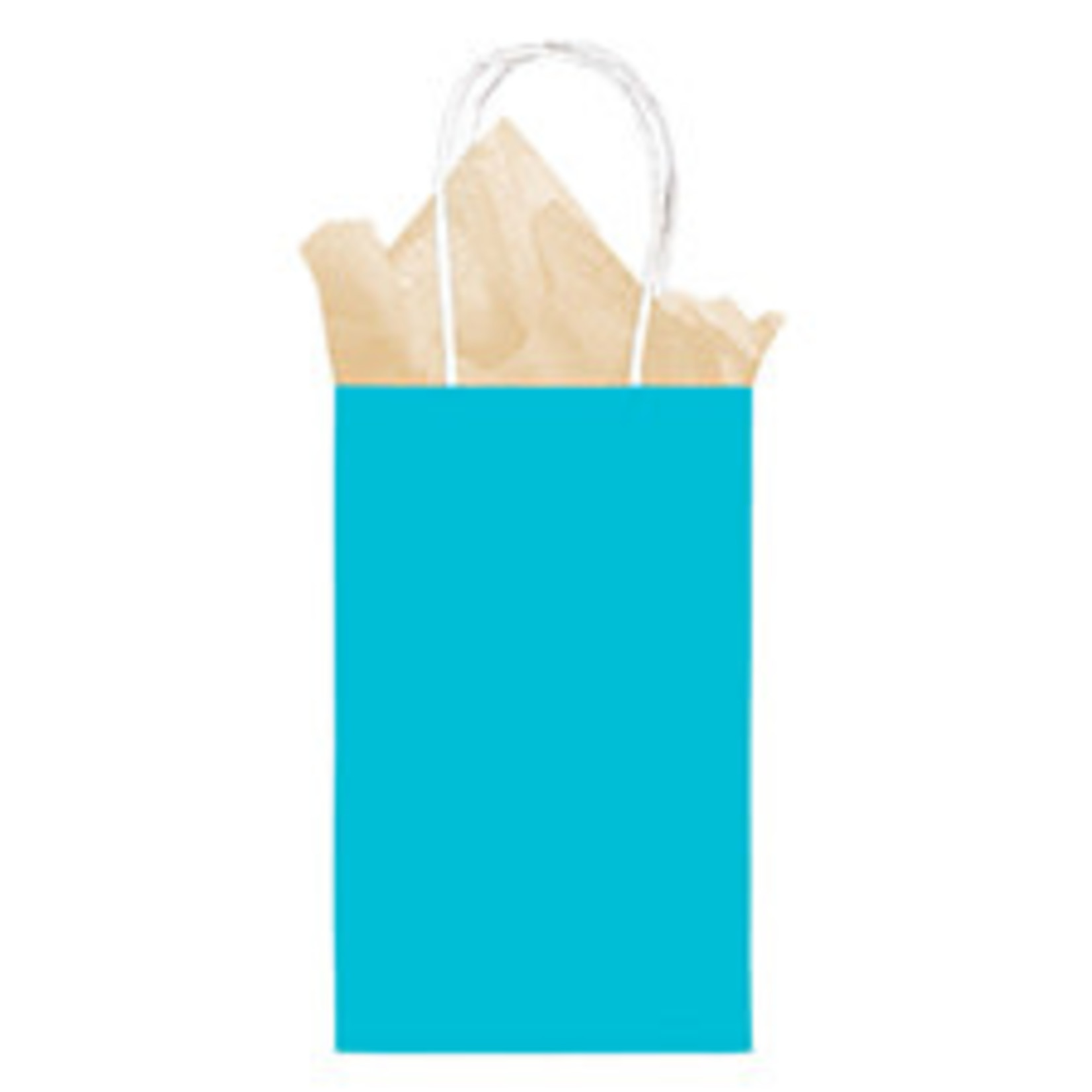 Amscan Caribbean Blue Sm. Kraft Bag