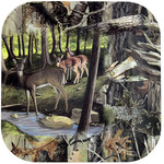 Havercamp 7" Camouflage Deer Square Plates - 8ct.