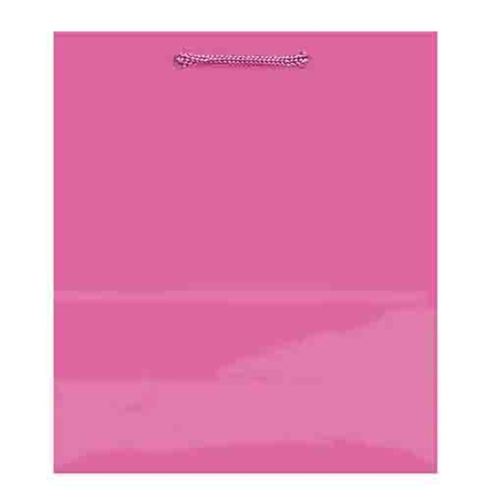 Amscan Bright Pink Medium Glossy Bag - 9" x 7"