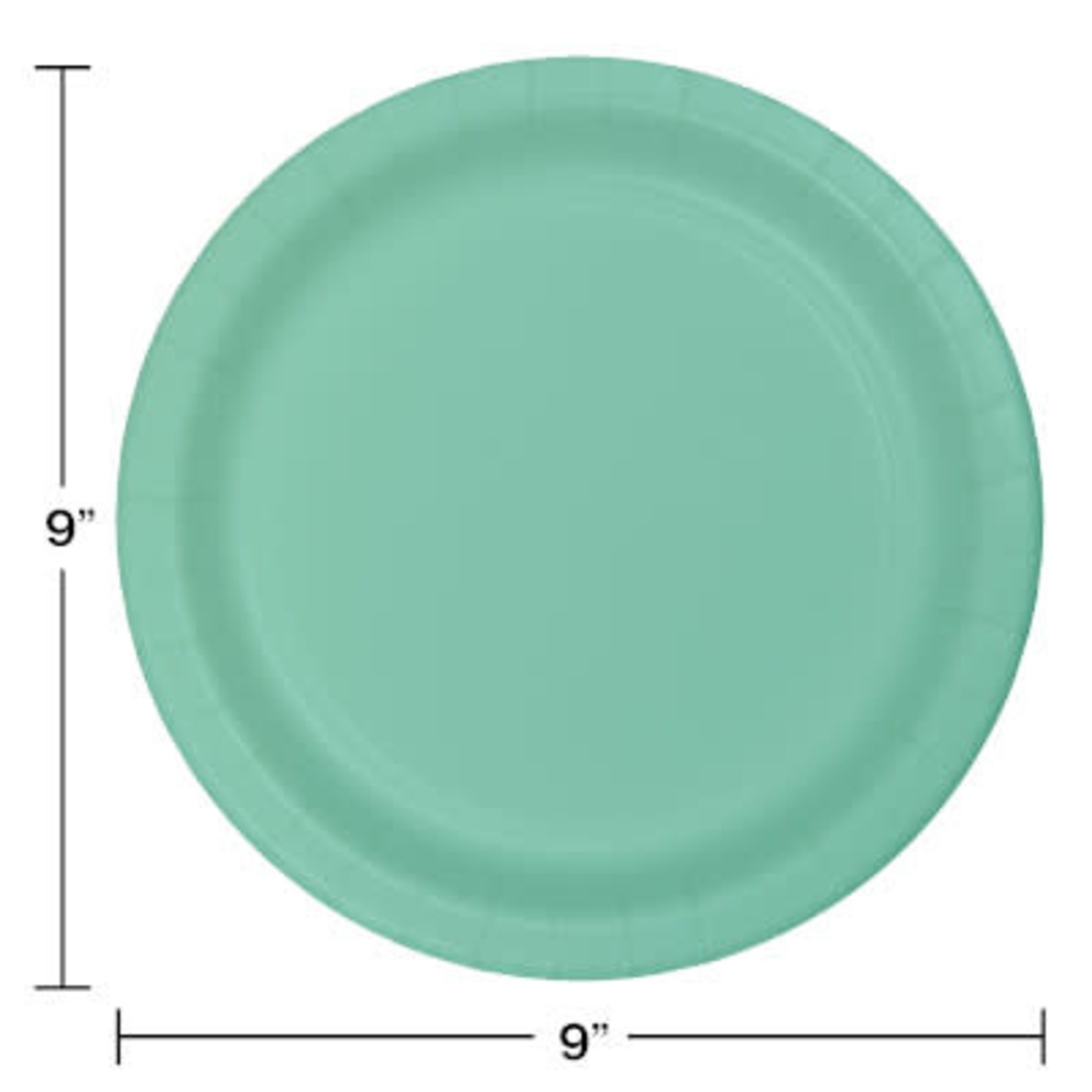Touch of Color 9" Mint Green Paper Plates - 24ct.