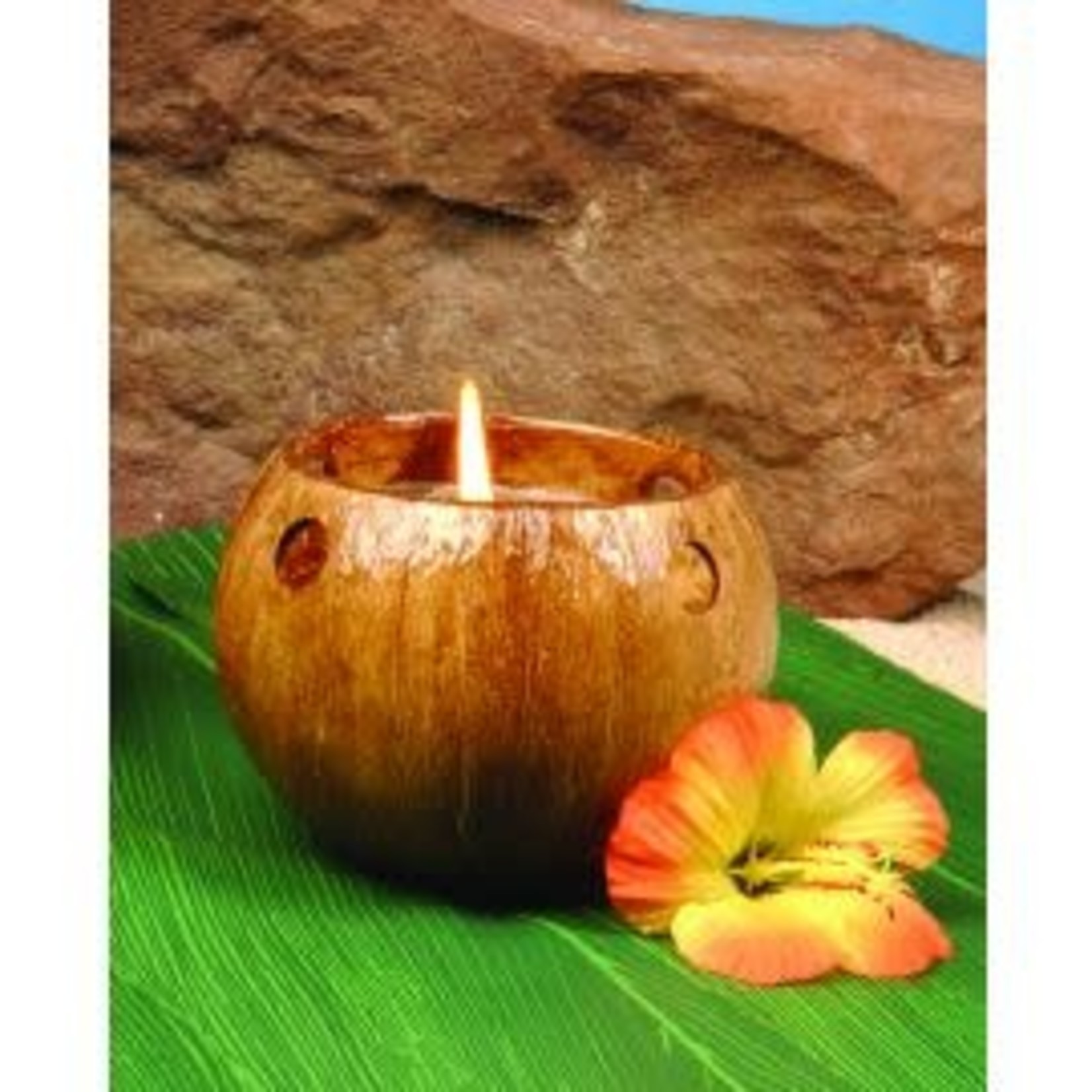 Funny Fashion Coconut Candle Holder w/ Candle - 1ct.