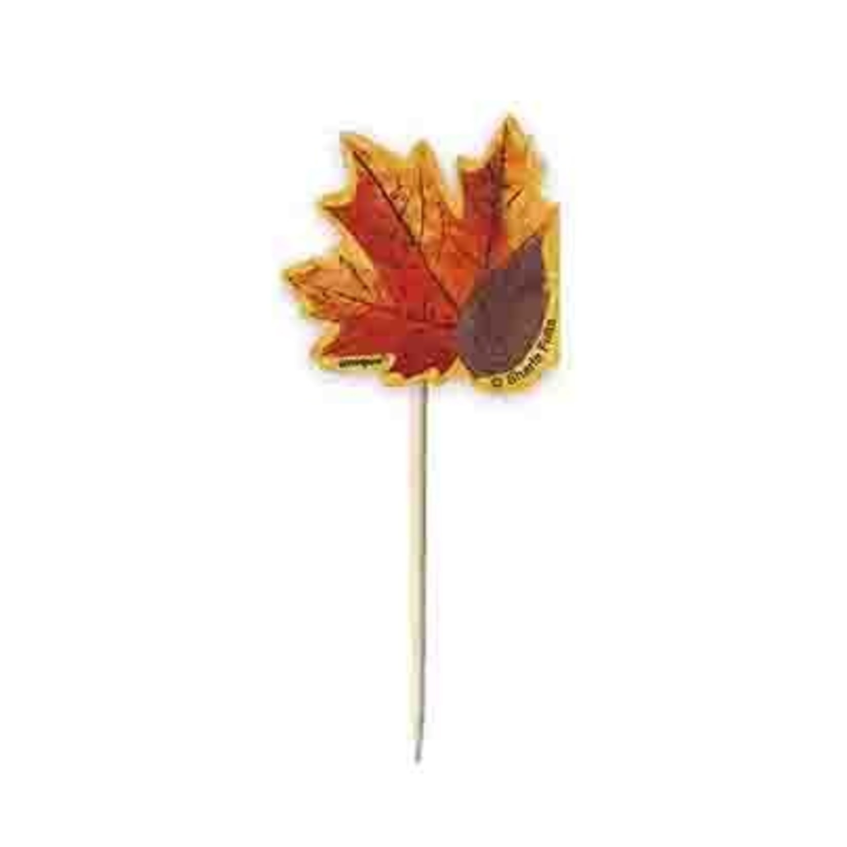 unique 3.5" Fall Leaf Picks - 8ct.
