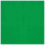 Amscan Green Tissue Paper - 8ct.