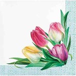 Creative Converting Tulip Wreath Beverage Napkins - 16ct.