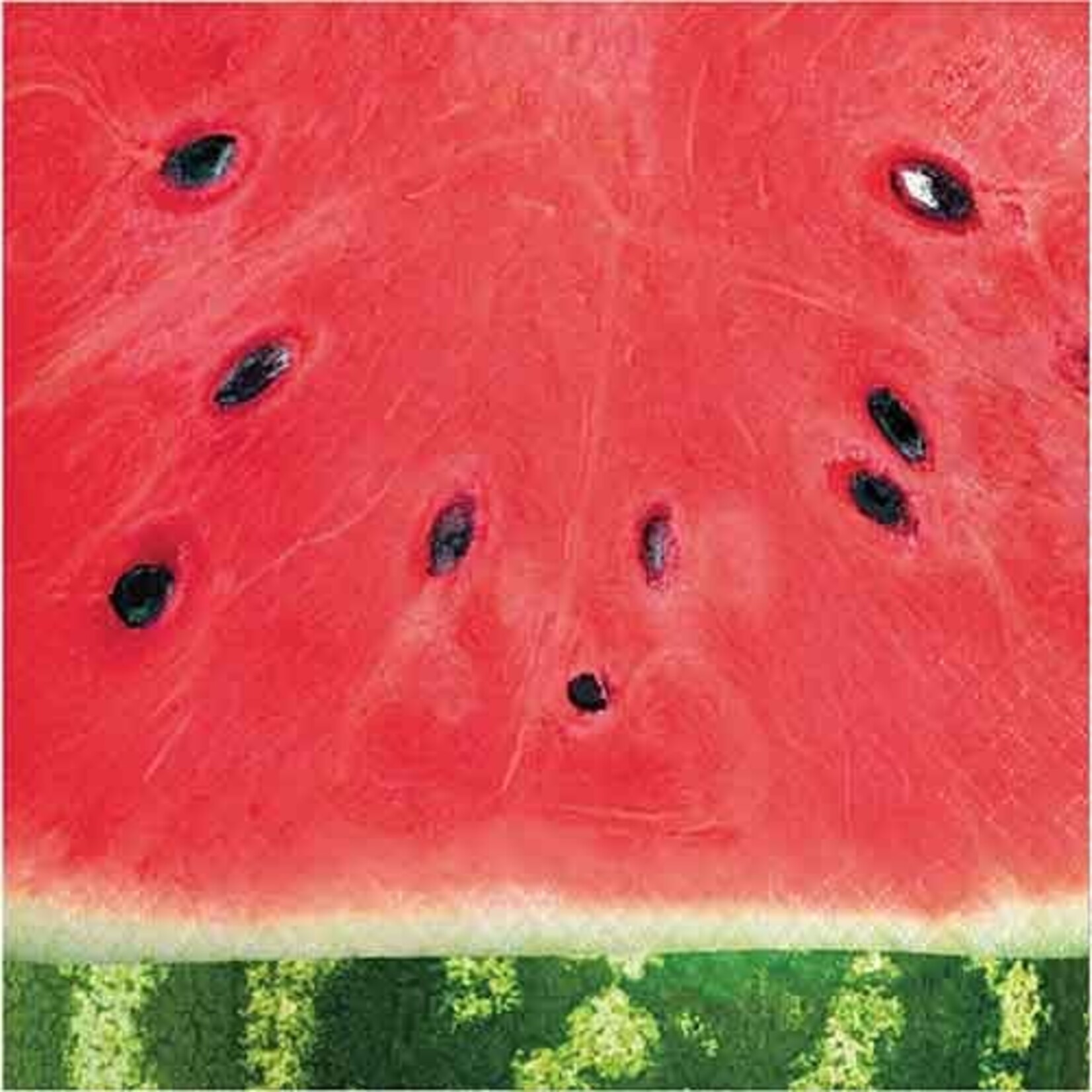 Creative Converting Farm Fresh Watermelon Lunch Napkins - 16ct.