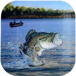 Havercamp 9" Gone Fishin' Square Plates - 8ct.