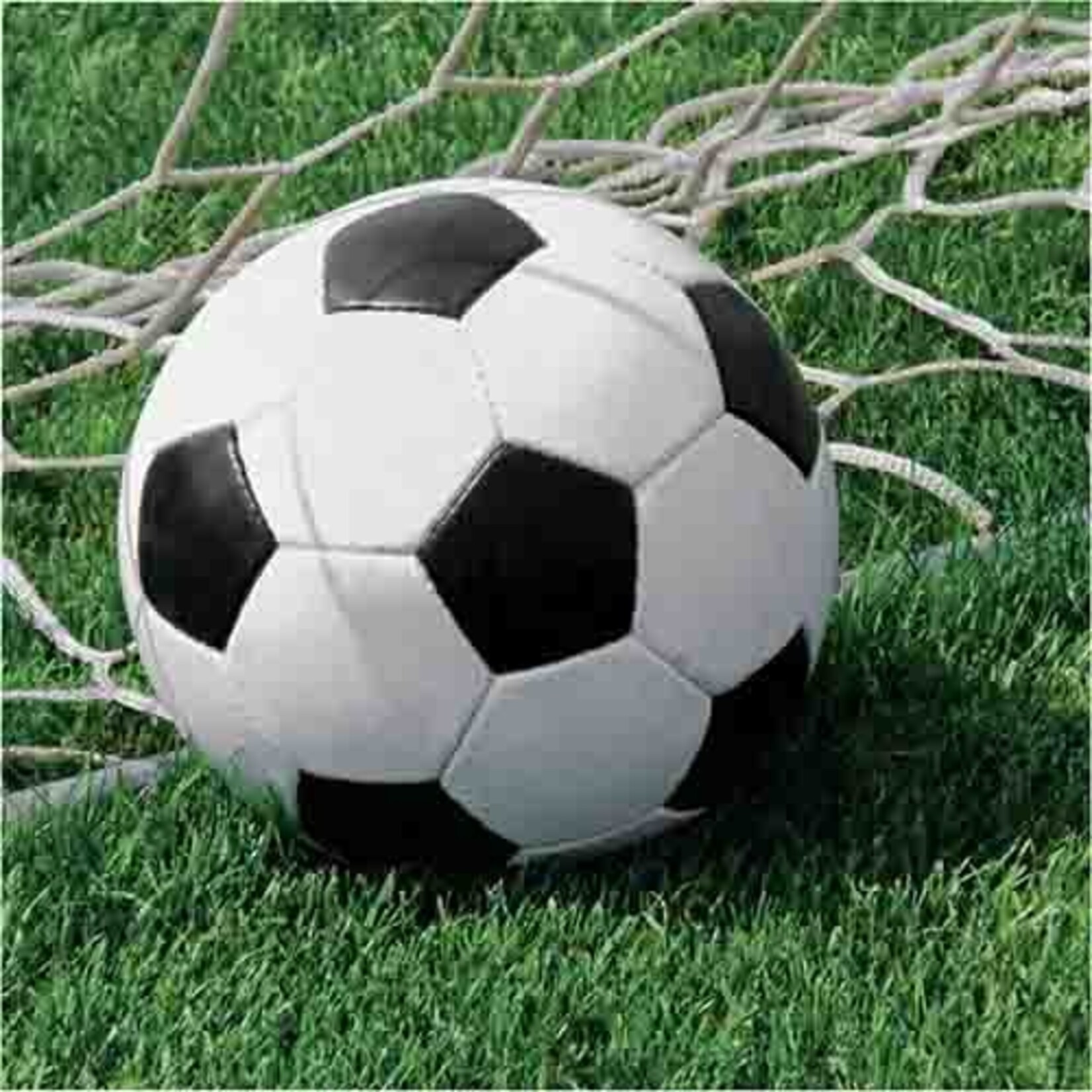 Creative Converting Soccer Lunch Napkins - 16ct.