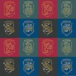 Amscan Harry Potter Gift Wrap - 1ct. (30" x 8')
