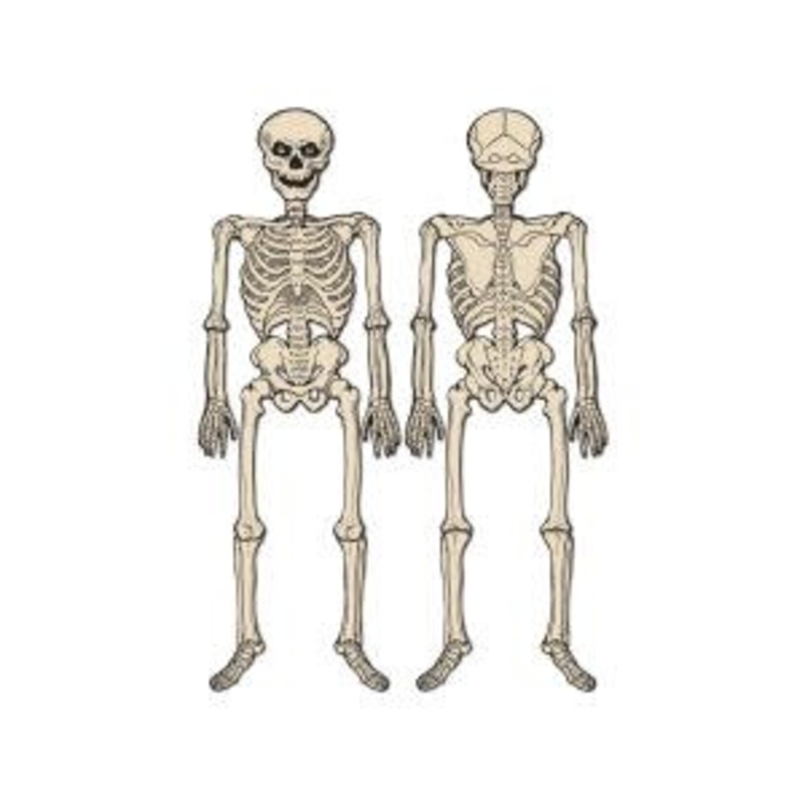 Beistle 4' Vintage Halloween Jointed Skeleton - 1ct.