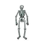 Beistle 22" Skeleton Jointed Cutouts - 2ct.