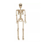 Paper  First Affiliates 36" Crazy Bone Posable Skeleton - 1ct.