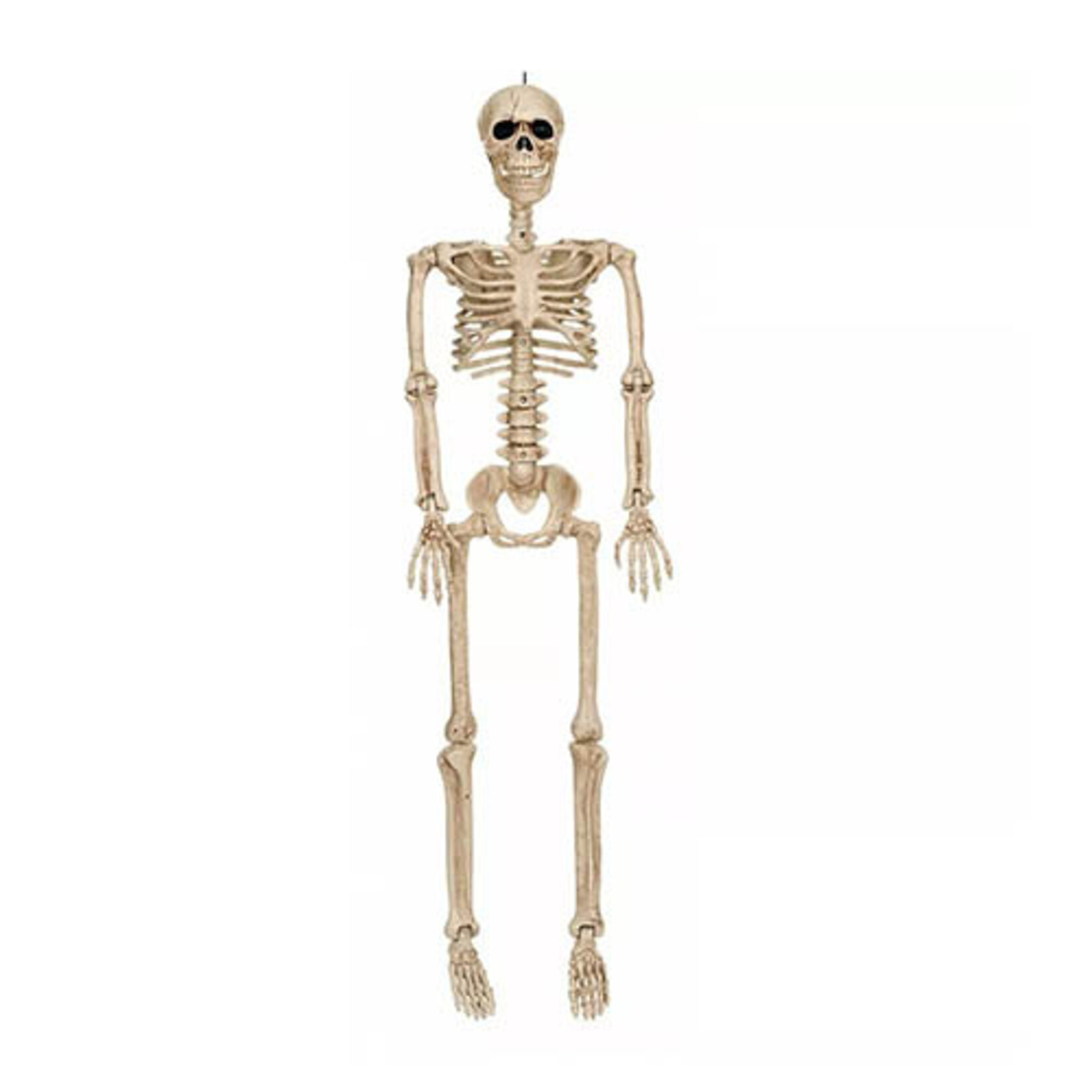 Paper  First Affiliates 36" Crazy Bone Posable Skeleton - 1ct.