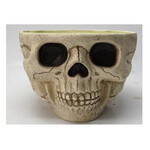 Paper  First Affiliates 10" Skull Candy Bowl - 1ct.