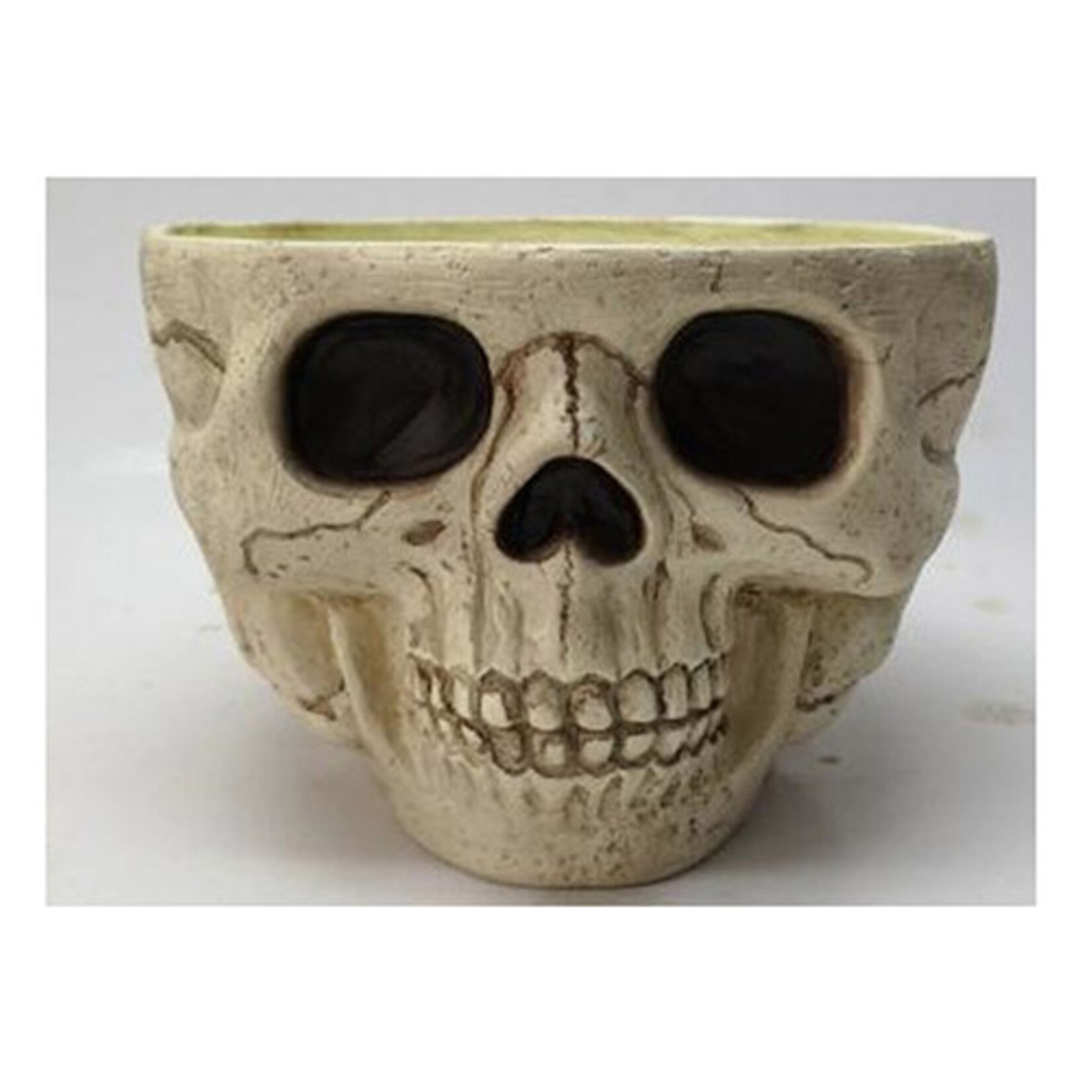 Paper  First Affiliates 10" Skull Candy Bowl - 1ct.