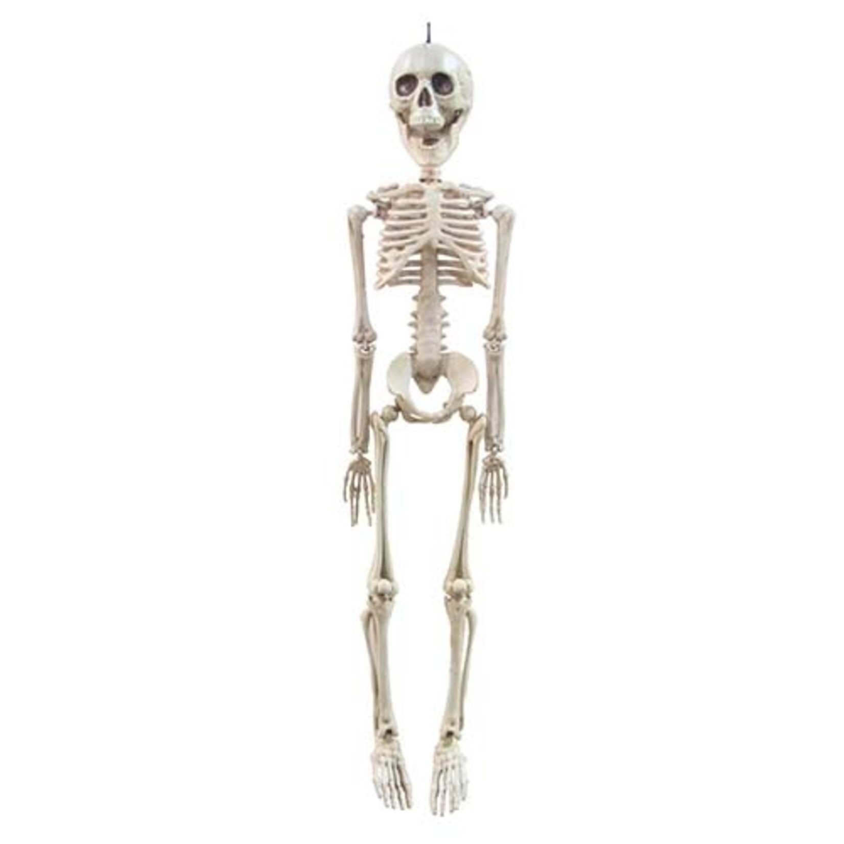 Sunstar Industries Inc. 20" Plastic Movable Skeleton - 1ct.