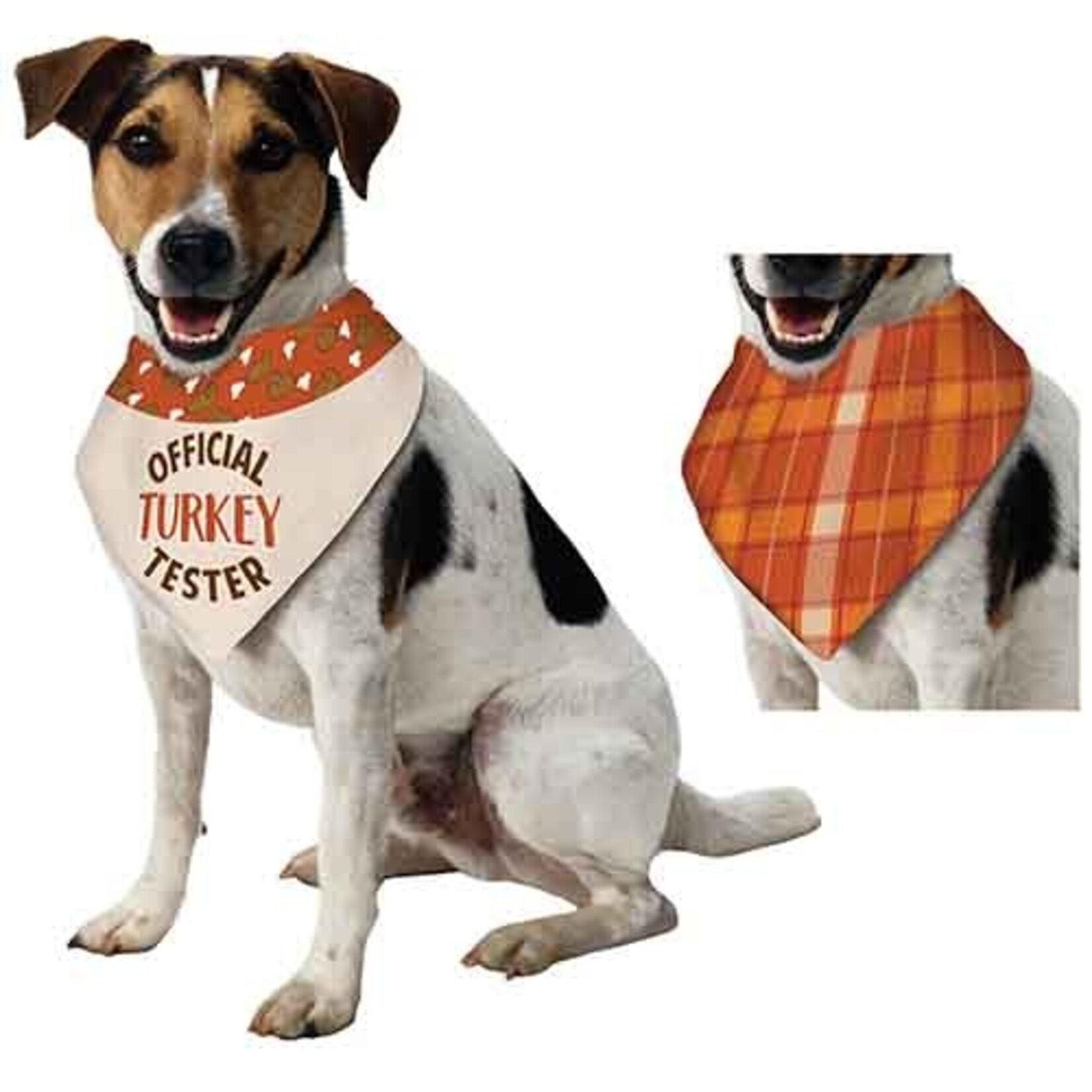 Amscan Thanksgiving Dog Bandana - 1ct.