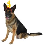 Amscan The Grinch Pet Headband - 1ct. (Small)