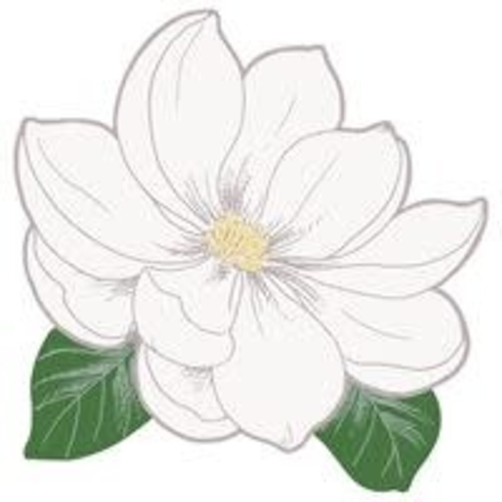 unique 13" Garden Party Flower Paper Placemats - 8ct.