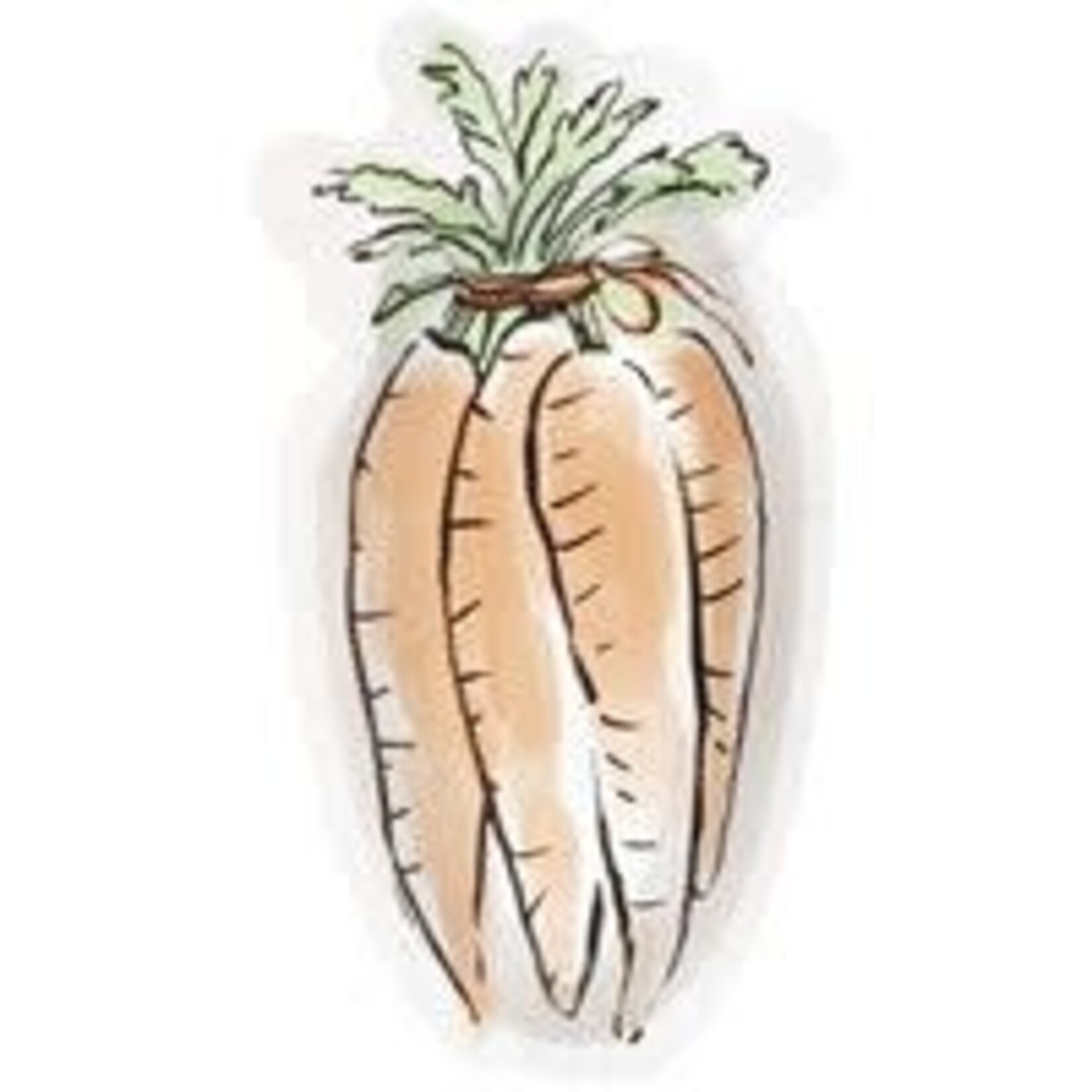 unique 9" Easter Carrot Shaped Plates - 8ct.