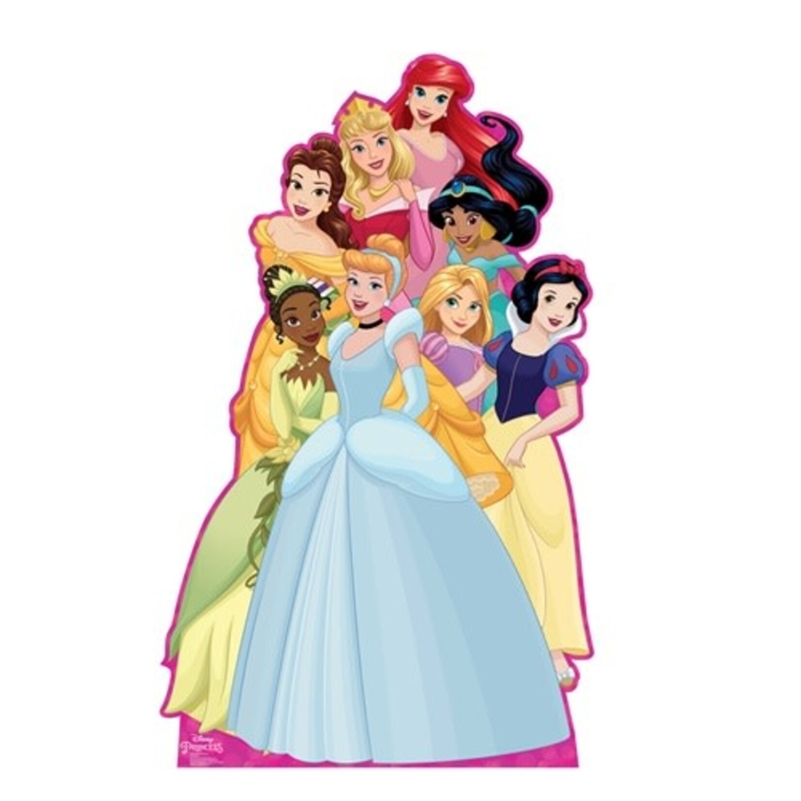 Advanced Graphics Disney Princess Group Life-Size Cutout - 1ct. (64" x 39")