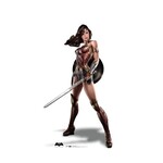 Advanced Graphics Wonder Woman Dawn of Justice Life-Size Cutout - 1ct. (70" x 39")