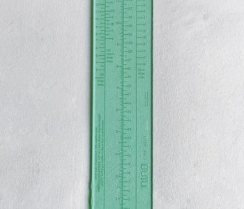 Socks Rule! Nina Chicago Measuring Ruler