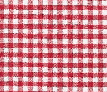 1/4" Gingham  Red