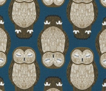 Nocturnal Lake Owls
