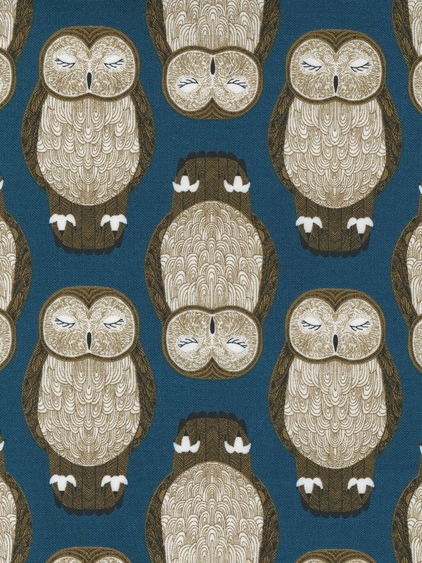 Moda Nocturnal Lake Owls