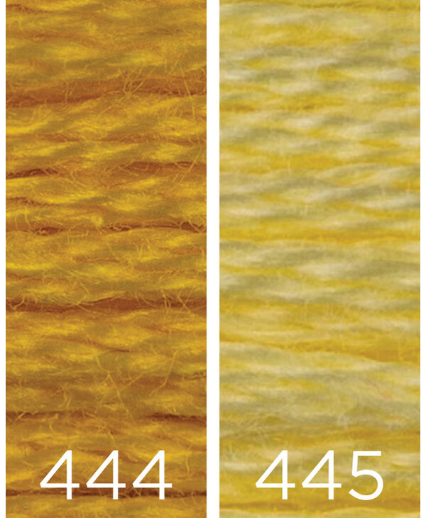 Color : 444 dark lemon