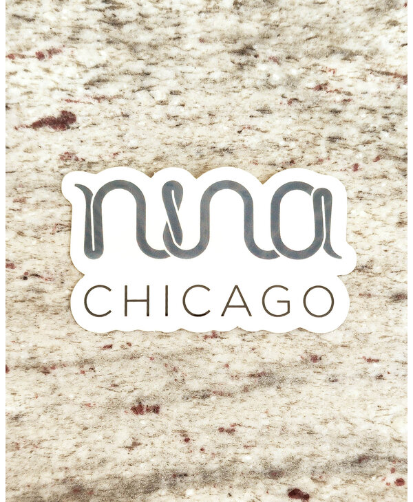 Embroidery Kit - Nina Chicago