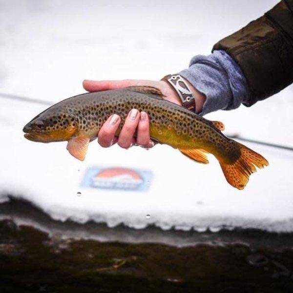 SIGHT LINE PROVISIONS TROUT BRACELET - Total Outfitters