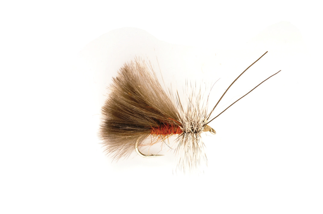 FULLING MILL FM Brown High Rider CdC Caddis [Single]