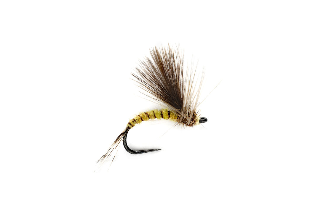 FULLING MILL FM Olive CdC Emerger B/L S16  [Single]