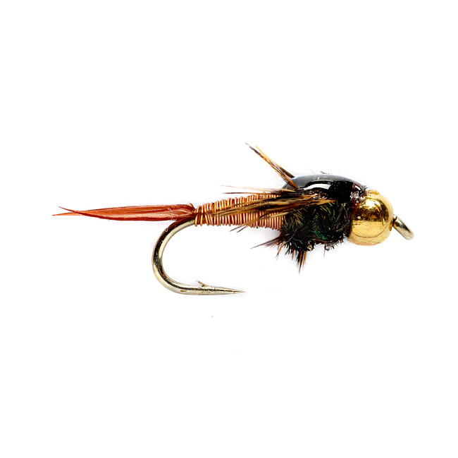 ORVIS CJ