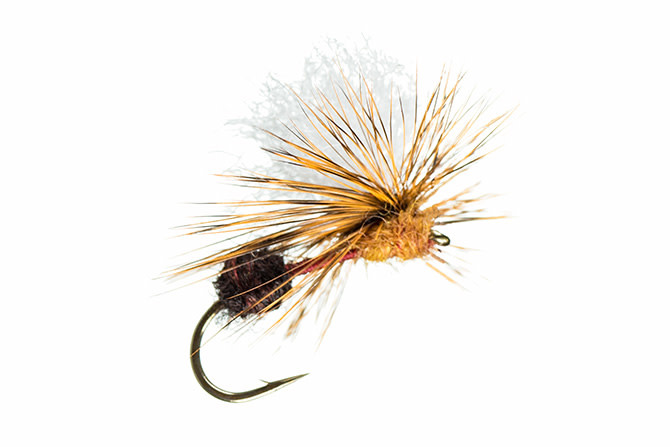 Montana Fly Company MFC Arrick's Parachute Ant Black / Cinnamon S14  [Single]