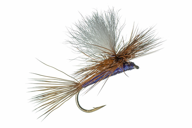 Montana Fly Company MFC Carlson's Purple Haze (Calf Tail Post) S10  [Single]