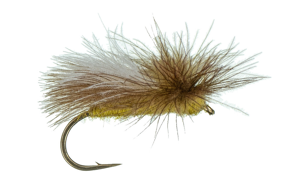 Montana Fly Company MFC - CdC Caddis Olive S12  [Single]