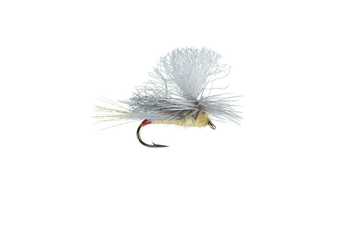 Montana Fly Company MFC Goldie Hawn S16  [Single]
