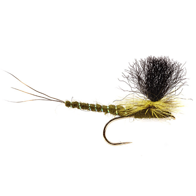 FM - ORVIS Travis Extended Body Green Drake S12 [Single]