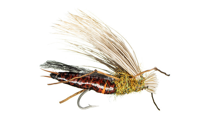 Montana Fly Company MFC Trina's Dog Puke - Salmonfly [Dozen]