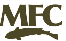 MFC